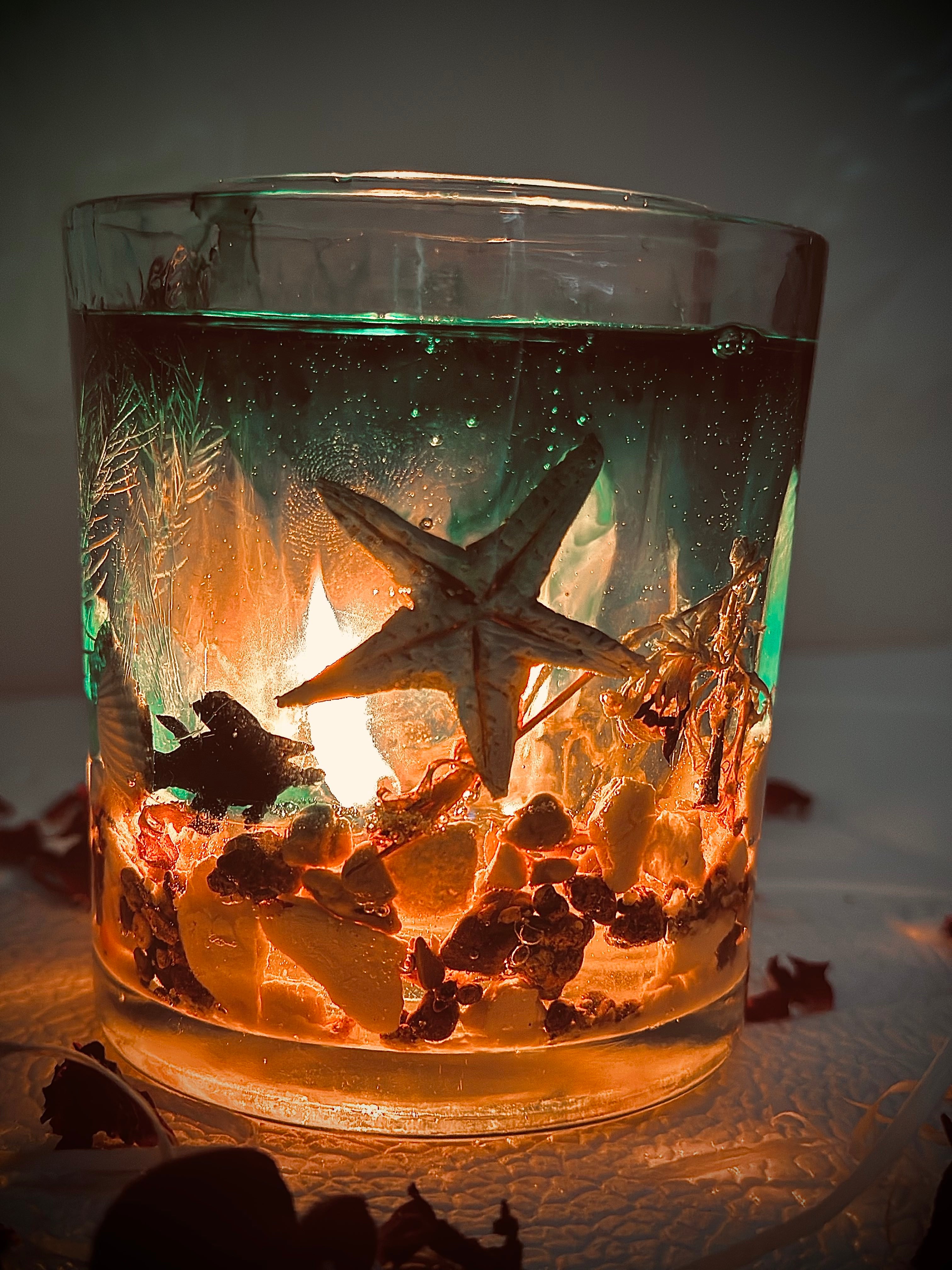 Sea Life Aquarium (Gel candle)